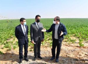 مستشار وزير الزراعة لـ«العقارية العربية» يكشف تفاصيل المشروعات الجديدة بالقطاع